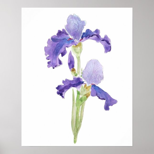 två lila bläck och vattenfärg poster (Framsidan)