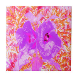 Två Lila och Shock rosa Plum Crazy Hibiscus Kakelplatta