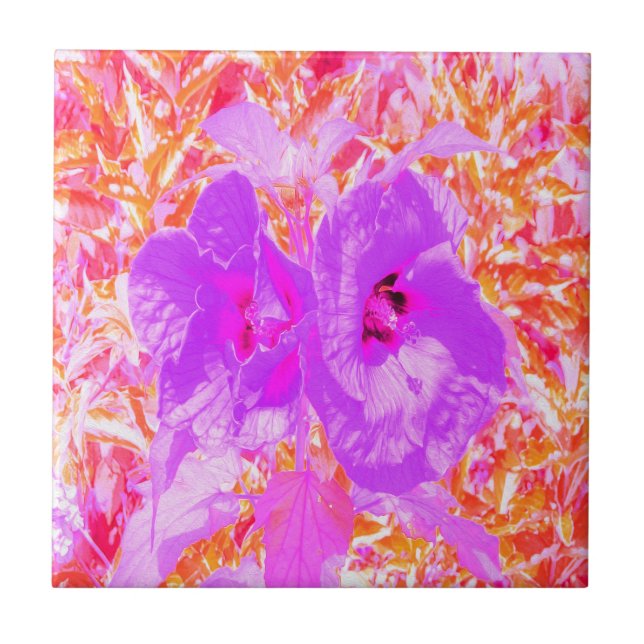 Två Lila och Shock rosa Plum Crazy Hibiscus Kakelplatta (Framsidan)