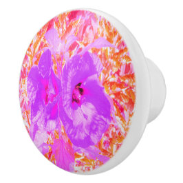 Två Lila och Shock rosa Plum Crazy Hibiscus Knopp