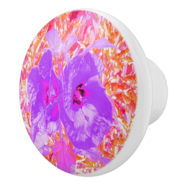 Två Lila och Shock rosa Plum Crazy Hibiscus Knopp (Höger)