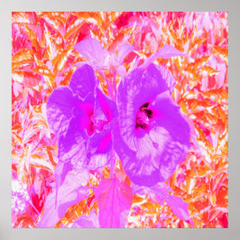 Två Lila och Shock rosa Plum Crazy Hibiscus på Red Poster