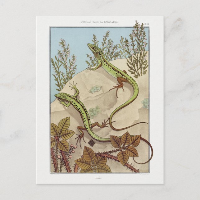 Två Lizards Vintage Fauna Illustration Vykort (Framsida)