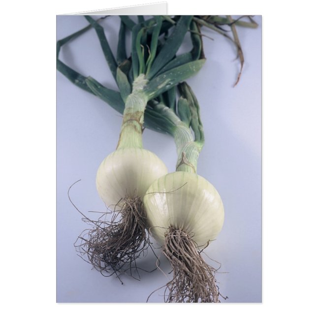 Två lökar hälsningskort (Framsidan)