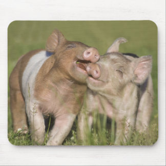 Två lyckliga Piglets Musmatta