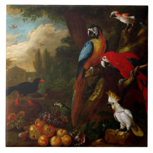 Två Macaws en Cockatoo och en Jay med Fruit Kakelplatta