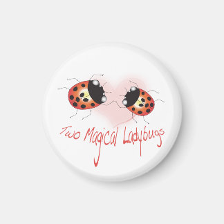 Två Magic Ladybugs Magnet