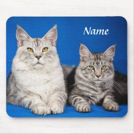 Två maine Coon Cats Blue Mousepad Musmatta