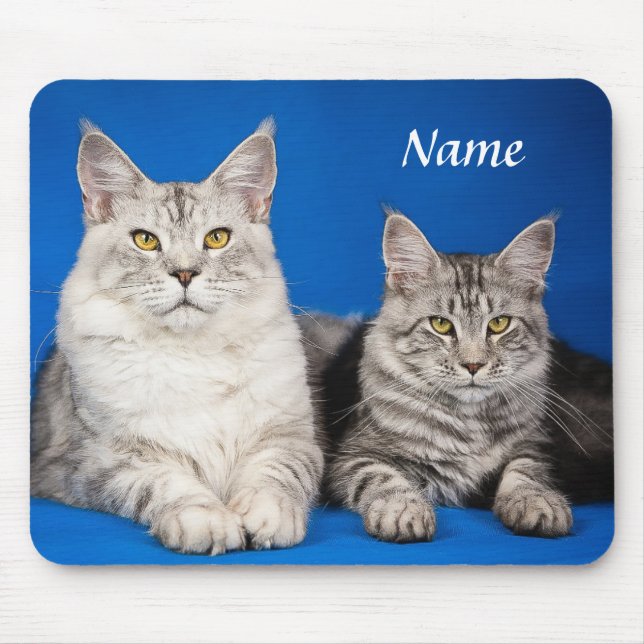 Två maine Coon Cats Blue Mousepad Musmatta (Framsidan)
