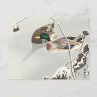 Två Mallards nära en Lotus Painting-färgning med S