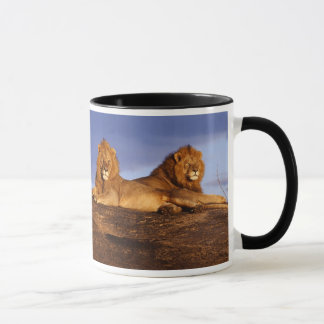 Två män och Lejon och Lioness Mugg för Leos