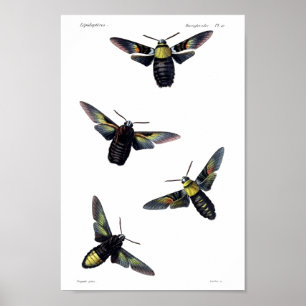 Två månader poster