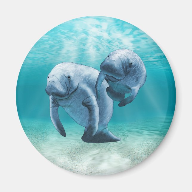 Två manater Swimming Magnet (Framsidan)