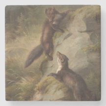 Två Martens kämpar i Skogen