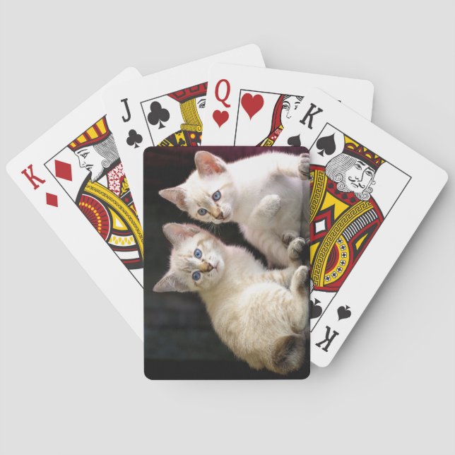 Två Mekong Bobtail Tabby Point Kittens Casinokort (Baksidan)
