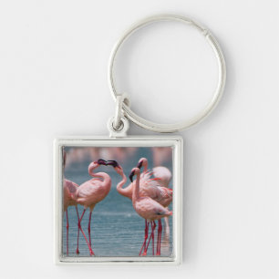 Två mindre flamingohannar (Phoenicopterus Minor) Fyrkantig Silverfärgad Nyckelring