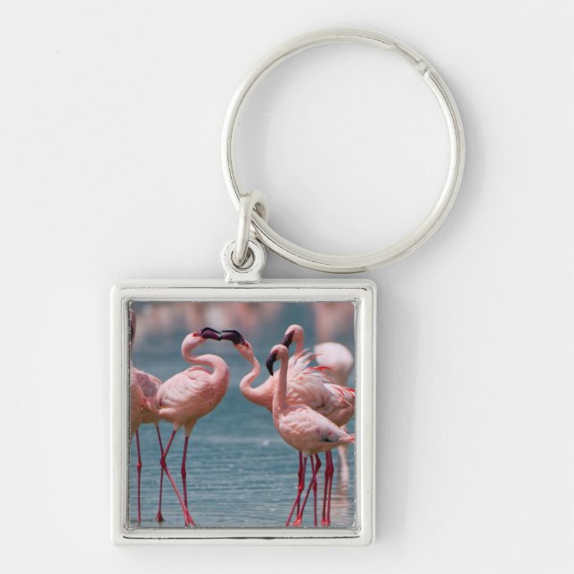 Två mindre flamingohannar (Phoenicopterus Minor) Fyrkantig Silverfärgad Nyckelring (Framsidan)