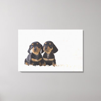 Två Mini Dachshund Sitta Canvastryck