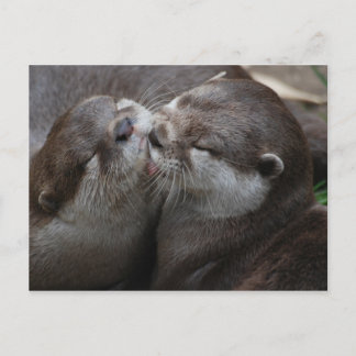 Två missgynnade otter vykort