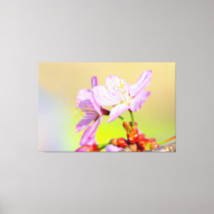 Två modiga körsbärsblommor och färgglad bakgrund canvastryck