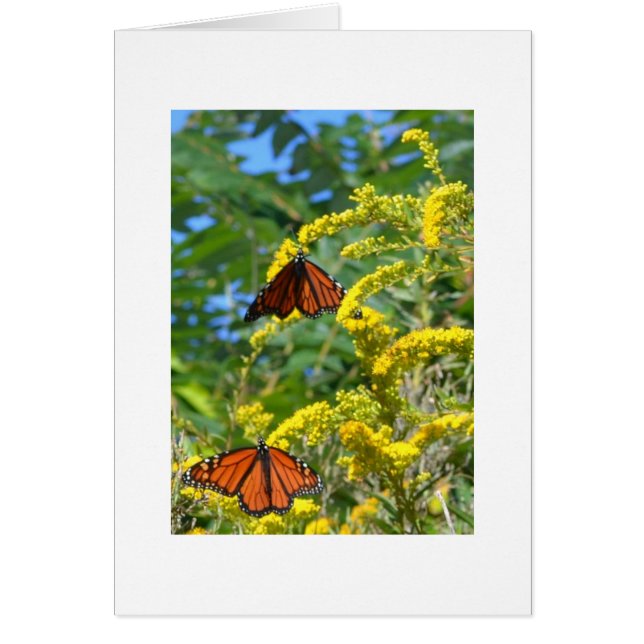 Två monarker hälsningskort (Framsidan)