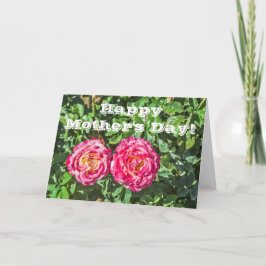 Två Mörkar Rosa ros med Mörk grönt Löv Kort