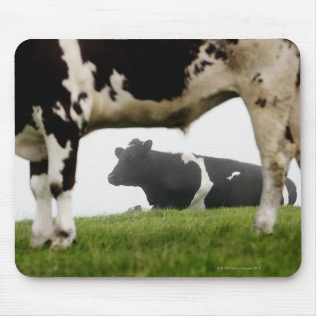 två musmatta (Framsidan)