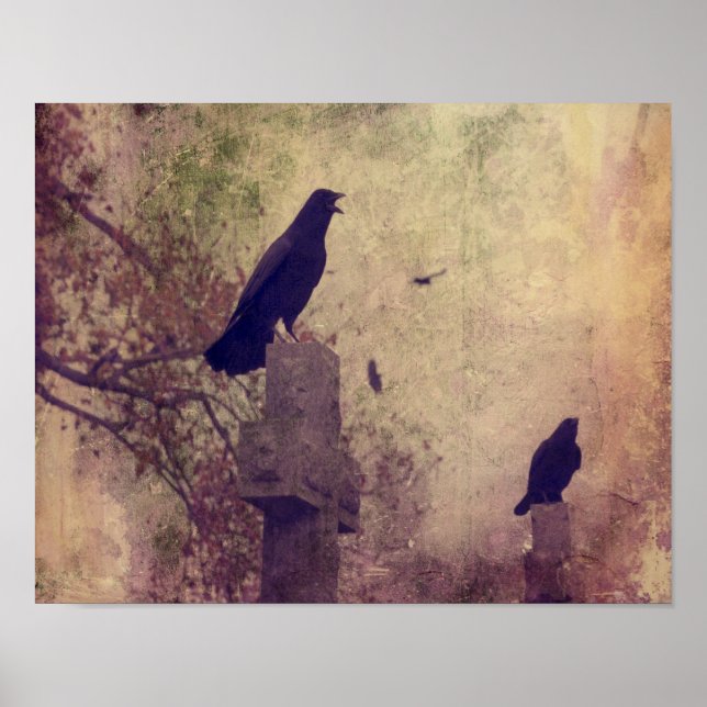 Två mycket Coola Ravens Poster (Framsidan)