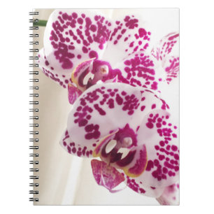 Två nyanserade vit- och lilaOrchids Anteckningsbok Med Spiral