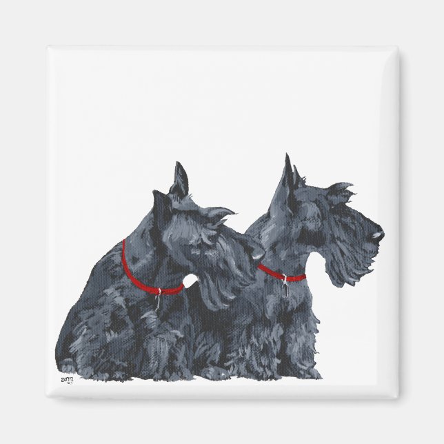 Två nyfikna skotska terrier magnet (Framsidan)