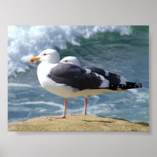 TVÅ OCEAN FISKMÅS VÅGAR STEN BEACH PHOTOGRAPHY BI POSTER