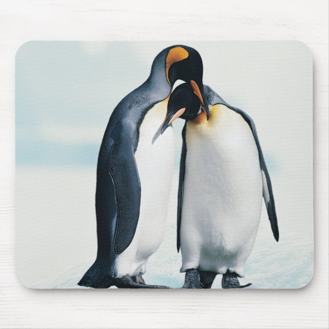 Två ömtåliga penguiner musmatta (Framsidan)