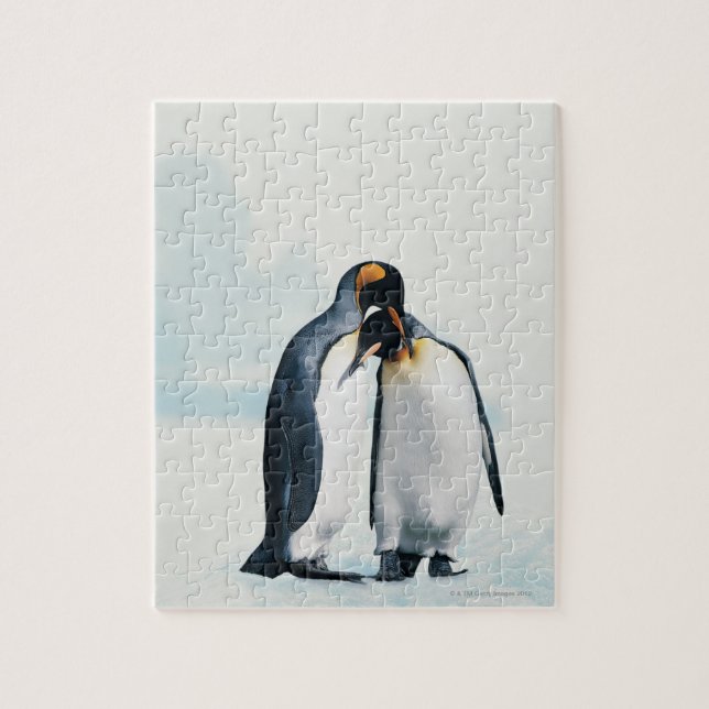 Två ömtåliga penguiner pussel (Vertikal)