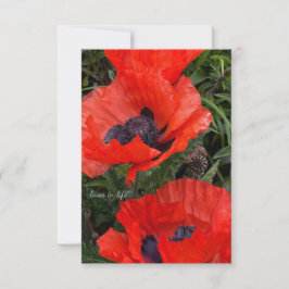 Två Orangar orientaliska poppies Anteckningskort