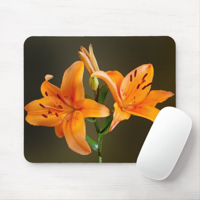 Två Orangar Tiger Lillies och Buds Photography Musmatta (Med mus)