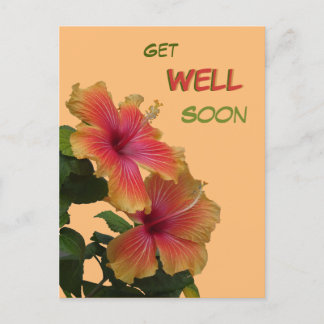 Två orange hibiskusblommor Snart frisk brevkort Vykort