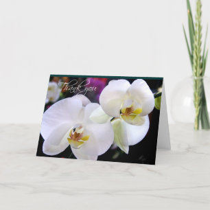 Två Orchid tackkort-kort Tack Kort
