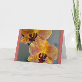 "Två Orchids ", Kort