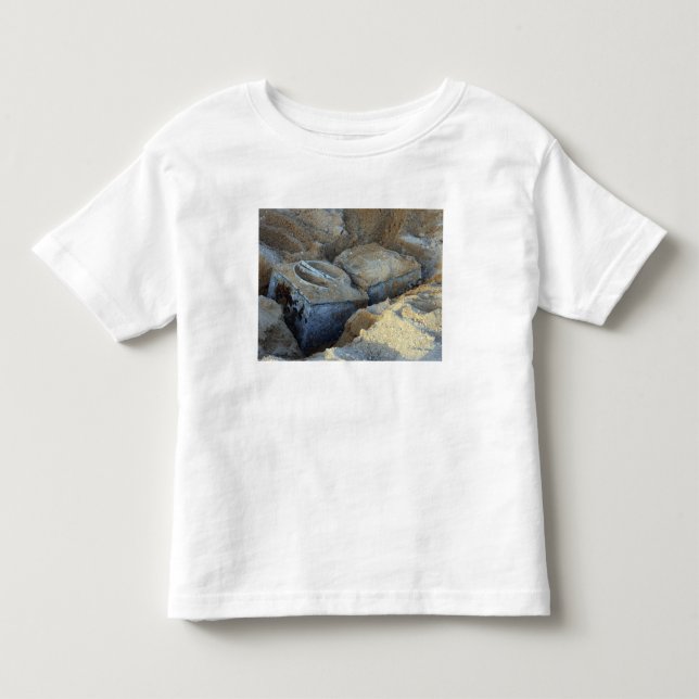 Två packade anordningar av lådtyp tee shirt (Framsida)