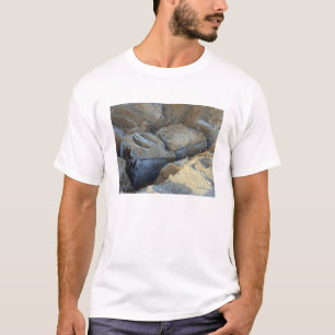 Två packade boxas-typ apparater t-shirt