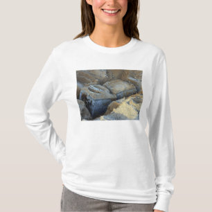 Två packade boxas-typ apparater tee shirt