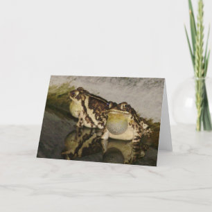 Två paddor som söker efter chickar Notecard Kort
