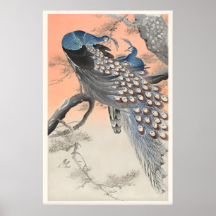 Två påfåglar på trädgren Japansk finkonst Poster