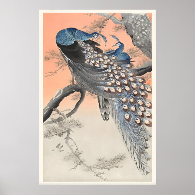 Två påfåglar på trädgren Japansk finkonst Poster (Framsidan)