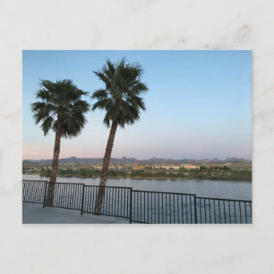 Två palmer Coloradofloden i Laughlin Nevada Vykort