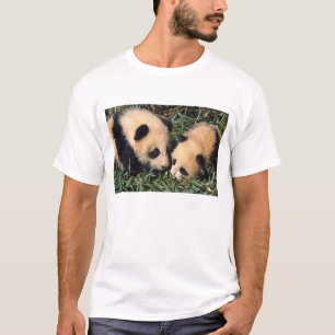 Två pandaungar i bambuknären, Wolong, Tröja