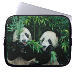 Två pandor som äter bamboo tillsammans, Wolong Laptop Sleeve