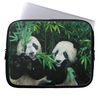 Två pandor som äter bamboo tillsammans, Wolong Laptop Sleeve