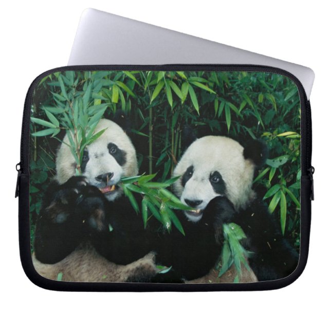 Två pandor som äter bambu tillsammans, Wolong Laptop Sleeve (Framsidan)