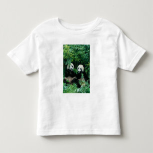 Två pandor som äter bambu tillsammans, Wolong T-shirt